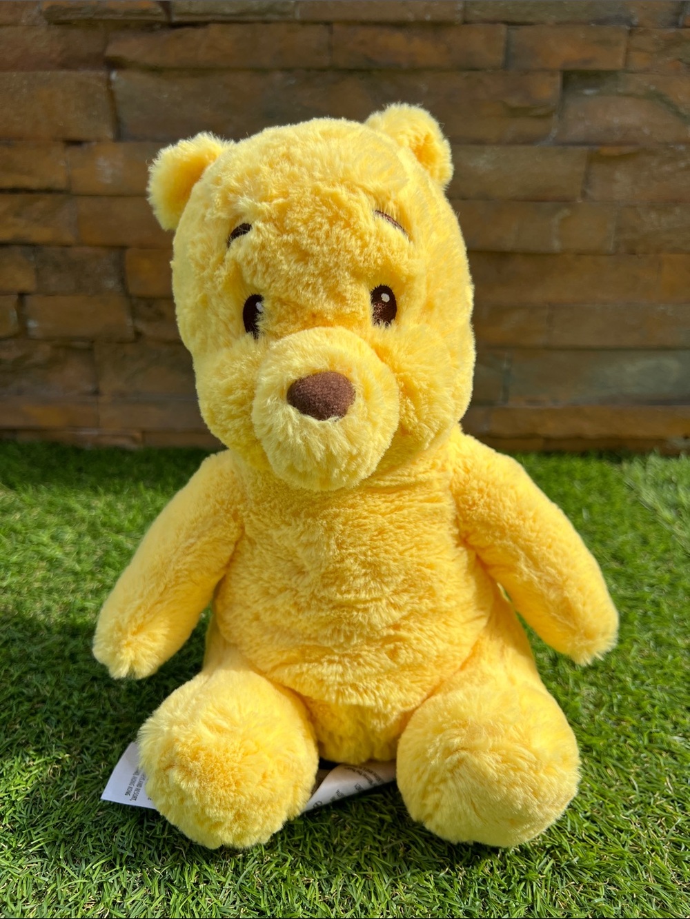 DISNEY STORE Winnie the Pooh soft fuzzy plush 10” Disney baby collectible toy